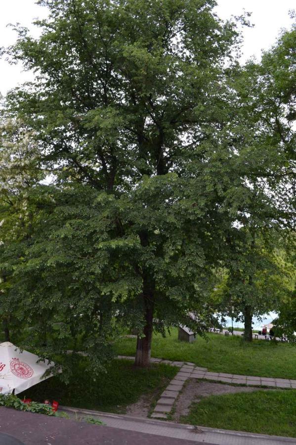 Appartamento Квартира Двохкімнатна Фонтан Kam'janec'-Podil's'kyj Esterno foto